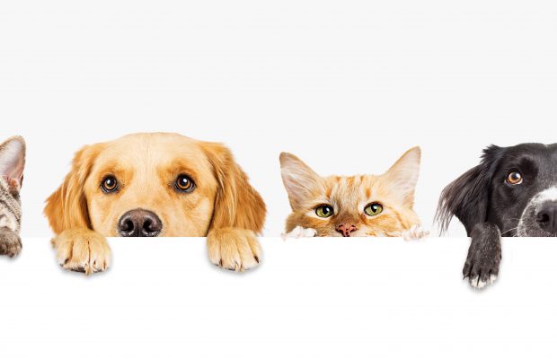 Gets your pics in for the costume contest