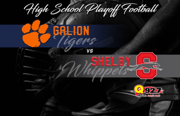 Whippets Stopped Tigers!