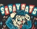 Stray Cats