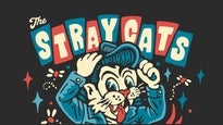 Stray Cats