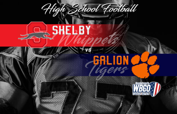 Shelby gets the best defeats of the Tigers again